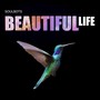 Beautiful Life