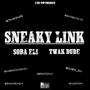 Sneaky Link (feat. Twak Dude) [Explicit]