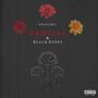 Dahlias & Black Roses (Explicit)