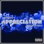 Appreciation (Explicit)