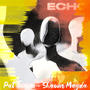 Echo (Shawn Magda Remix)