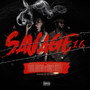 Savage 16 (Explicit)