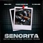 Senorita (feat. Tellapee, DJ Walgee, Piano Disciples & Locco Musiq)