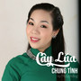 Cây Lúa Chung Tình #1