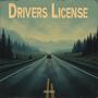 Drivers License