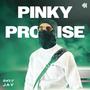 PINKY PROMISE (Explicit)