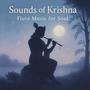 Flute Music for Peace, Focus, and Sleep