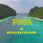 Proa (feat. BigBigor)