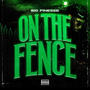 On the fence (Explicit)