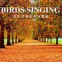 Birds Singing in the Park (Unlimited Hours)