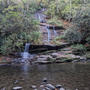 The French Broad