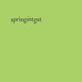 Springintgut