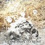 Diamonds to Rust