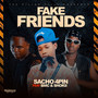 Fake Friends