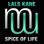 Spice of Life (Radio Edit)