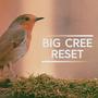 Reset