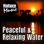 Peaceful and Relaxing Water (Nature Sound with Music)