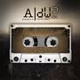 aNALOG iN a dIGITAL wORLD 2
