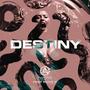 Destiny (feat. Puto X)