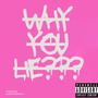 Why You Lie? (feat. SheeLovesRayy) [Explicit]