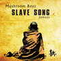 Slave Song 2012 Mixes