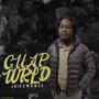 GUAPWRLD / Letter 2 Guap (Explicit)