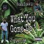 WHAT YOU GONE DO ? (feat. Zaybo3k) [Explicit]