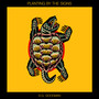 Snapping Turtle