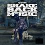 Shake Back Music (Explicit)