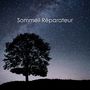 Sommeil Réparateur (L'Art du Repos en Harmonie Hz)