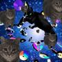 OIIA OIIA SPINNING CAT GROOVE