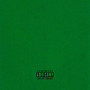 Green Feen (Explicit)