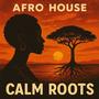 Calm Roots