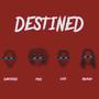 Destined (feat. Posi, Laik & Adurah)