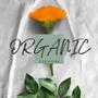 ORGANIC (Explicit)