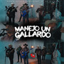 Manejo Un Gallardo (Explicit)