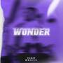 Wonder (Explicit)