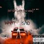 What ! Sa!d (Explicit)