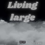 Living Large (Explicit)