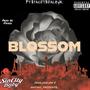 Blossom (Explicit)