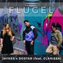 Flügel (feat. JAYKES & DOSTAR)