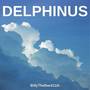 Delphinus (From 