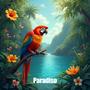 Paradiso