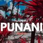 Punani (feat. Whis) [Speed up]