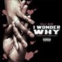 I Wonder Why (feat. DJ 23) [Explicit]