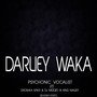 DARLIEY WAKA (Radio Edit)