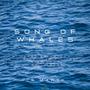 Song of Whales