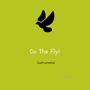 On The Fly (Instrumental Version)