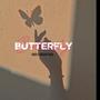 BUTTERFLY (feat. ANOiR)