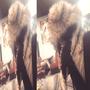 high as me (Explicit)